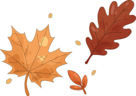 automne.jpeg